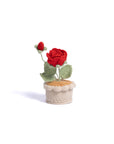 Cozy Roses Table-top Plant