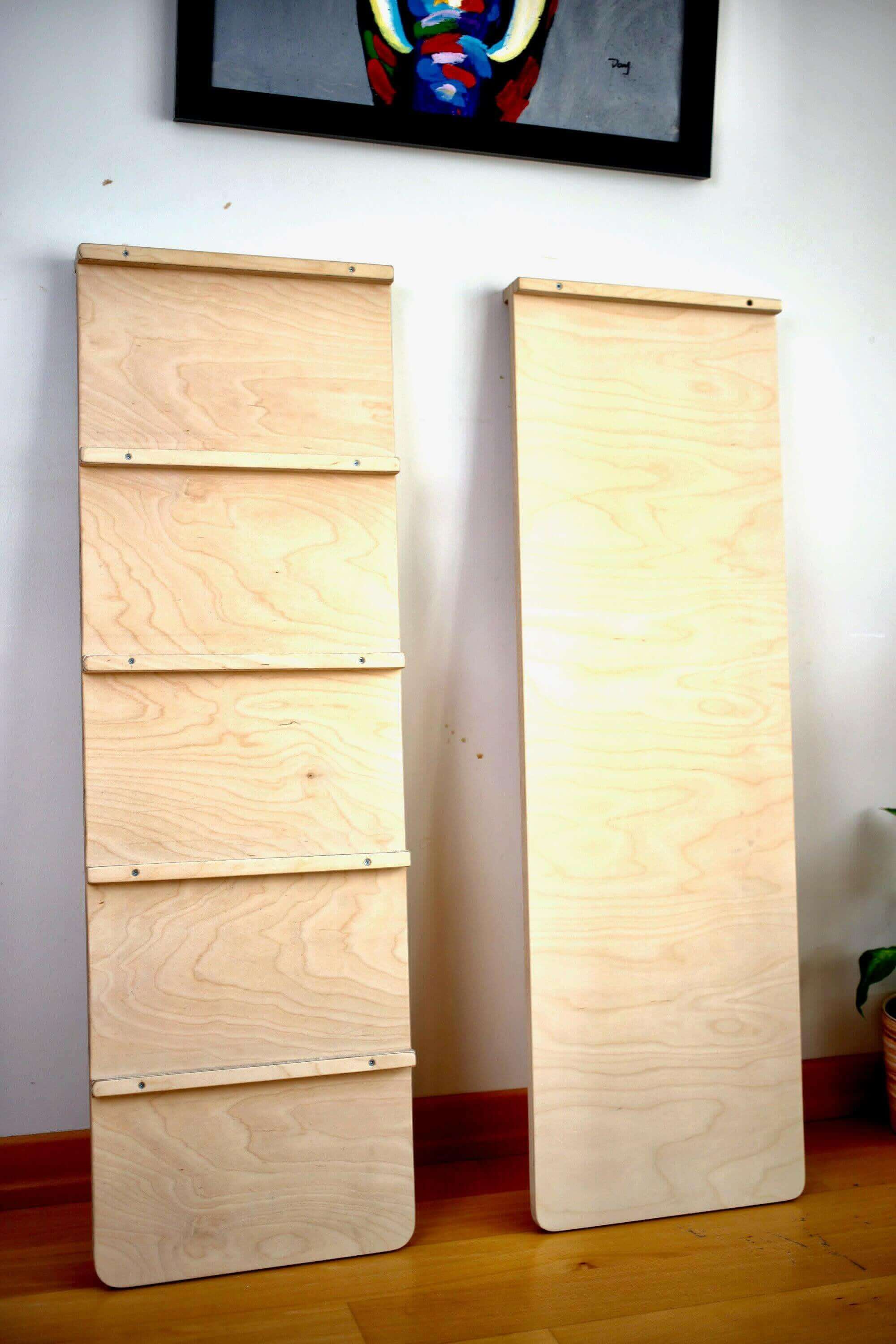 Reversible Ladder Climbing / Sliding Ramp-2