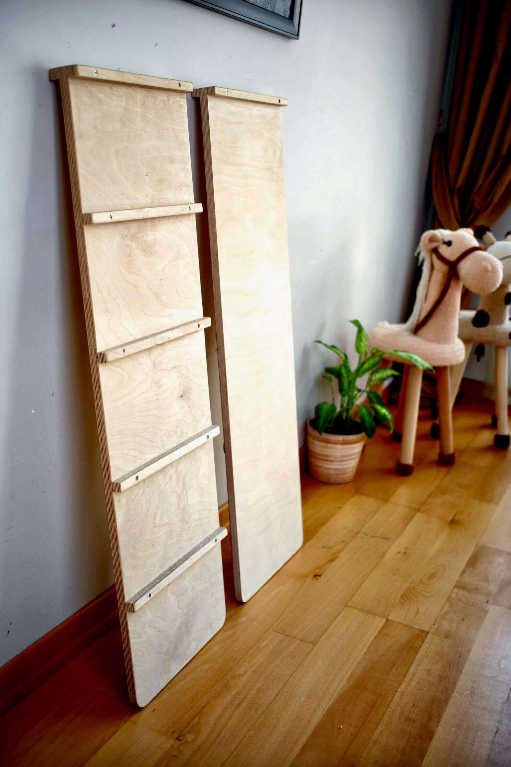 Reversible Ladder Climbing / Sliding Ramp-3