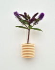 Wall Vase in Natural Beech Wood