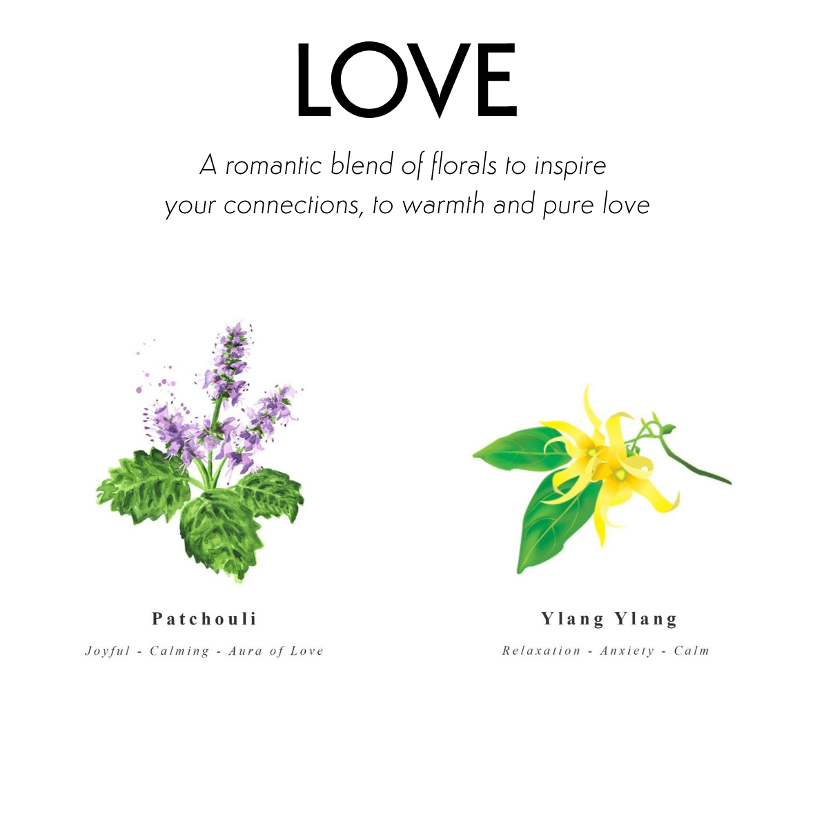 Ritual &amp; Meditation Gift Set - Love