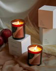 Roasted Chestnuts Scented Candle