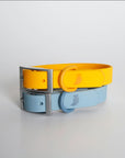 Rose Wylie Collar - Hypoallergenic
