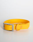 Rose Wylie Collar - Hypoallergenic