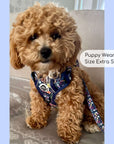 Rugged Rover™ Harness - Summer Meadow
