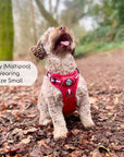 Rugged Rover™ Harness - Berry Red