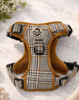 Rugged Rover™ Harness - Foxbury Plaid