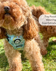 Rugged Rover™ Harness - Jurassic Party
