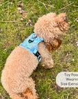 Rugged Rover™ Harness - Jurassic Party