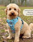 Rugged Rover™ Harness - Jurassic Party