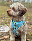 Rugged Rover™ Harness - Jurassic Party