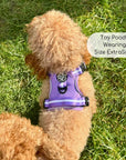 Rugged Rover™ Harness - Lilac Blush