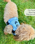 Rugged Rover™ Harness - Pastel Blue