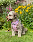 Rugged Rover™ Harness - Pastel Pink