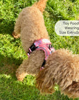 Rugged Rover™ Harness - Peachy Hearts
