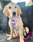 Rugged Rover™ Harness - Pink Tartan