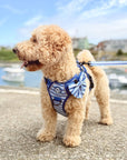 Dog Sailor Bow -  Sea Breeze Stripes
