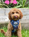 Rugged Rover™ Harness - Summer Meadow
