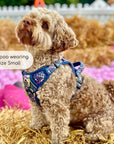 Rugged Rover™ Harness - Summer Meadow