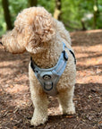 Rugged Rover™ Harness - Pastel Blue