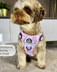 Rugged Rover™ Harness - Pink Tartan