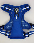 Rugged Rover™ Harness - Royal Blue