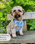 Rugged Rover™ Harness - Pastel Blue