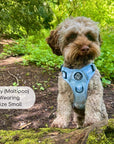 Rugged Rover™ Harness - Pastel Blue