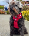 Rugged Rover™ Harness - Berry Red