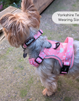 Rugged Rover™ Harness - Peachy Hearts