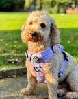 Rugged Rover™ Harness - Pink Tartan