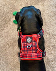Rugged Rover™ Harness - Red Tartan