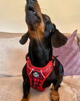 Rugged Rover™ Harness - Red Tartan