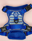 Rugged Rover™ Harness - Sea Breeze Stripes