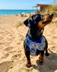 Rugged Rover™ Harness - Sea Breeze Stripes