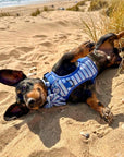 Rugged Rover™ Harness - Sea Breeze Stripes