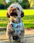 Rugged Rover™ Harness - Woodland Friends