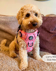 Rugged Rover™ Harness - Peachy Hearts