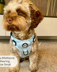 Rugged Rover™ Harness - Pastel Blue