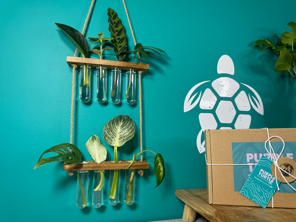 Plant Propagation Gift Set 