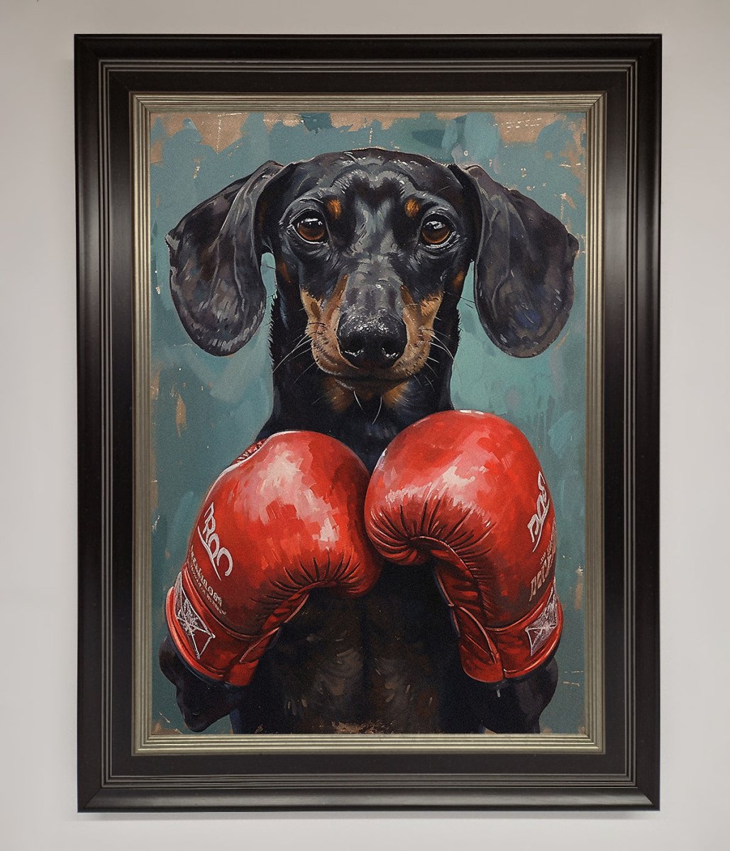 Sausage Dog Boxing Framed Print