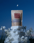 Sensual: Himalayan Bath Salt Blend 500g