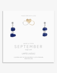 Lapis Lazuli Gemstone Earrings