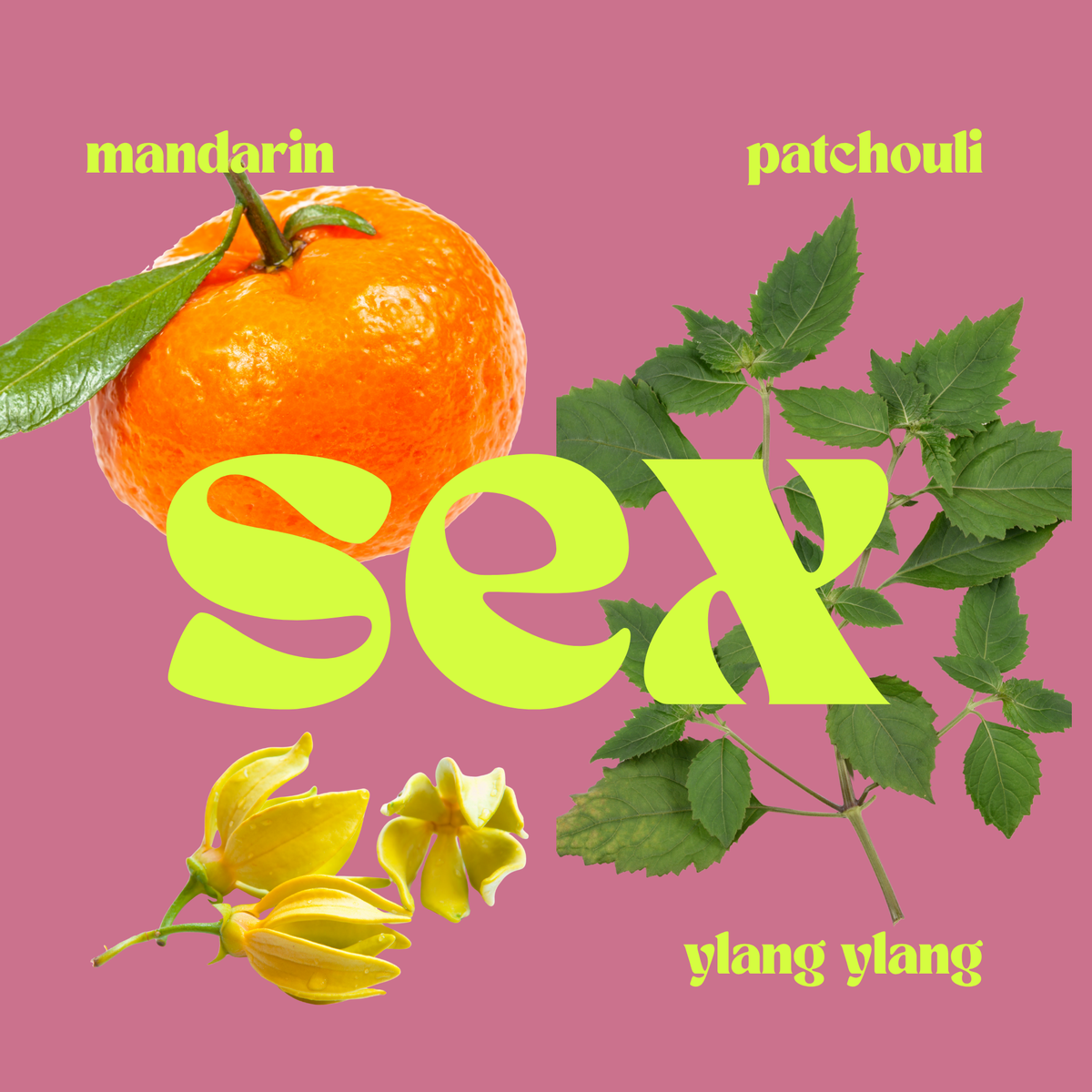SEX MIDI: The Seductive Candle