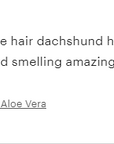 Natural Oatmeal and Aloe Vera Handmade Dog Shampoo
