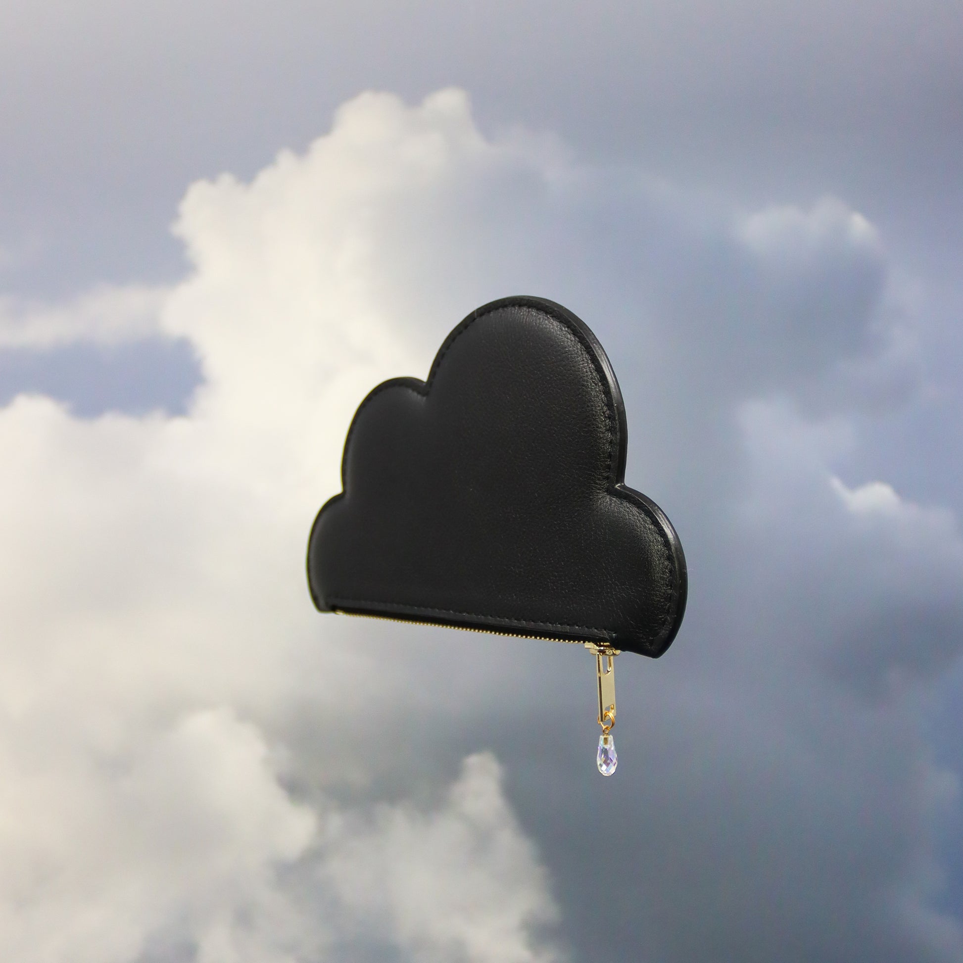 Black Leather Cloud Purse