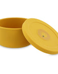 Silicone Snack Container with Lid - Mr. Lion