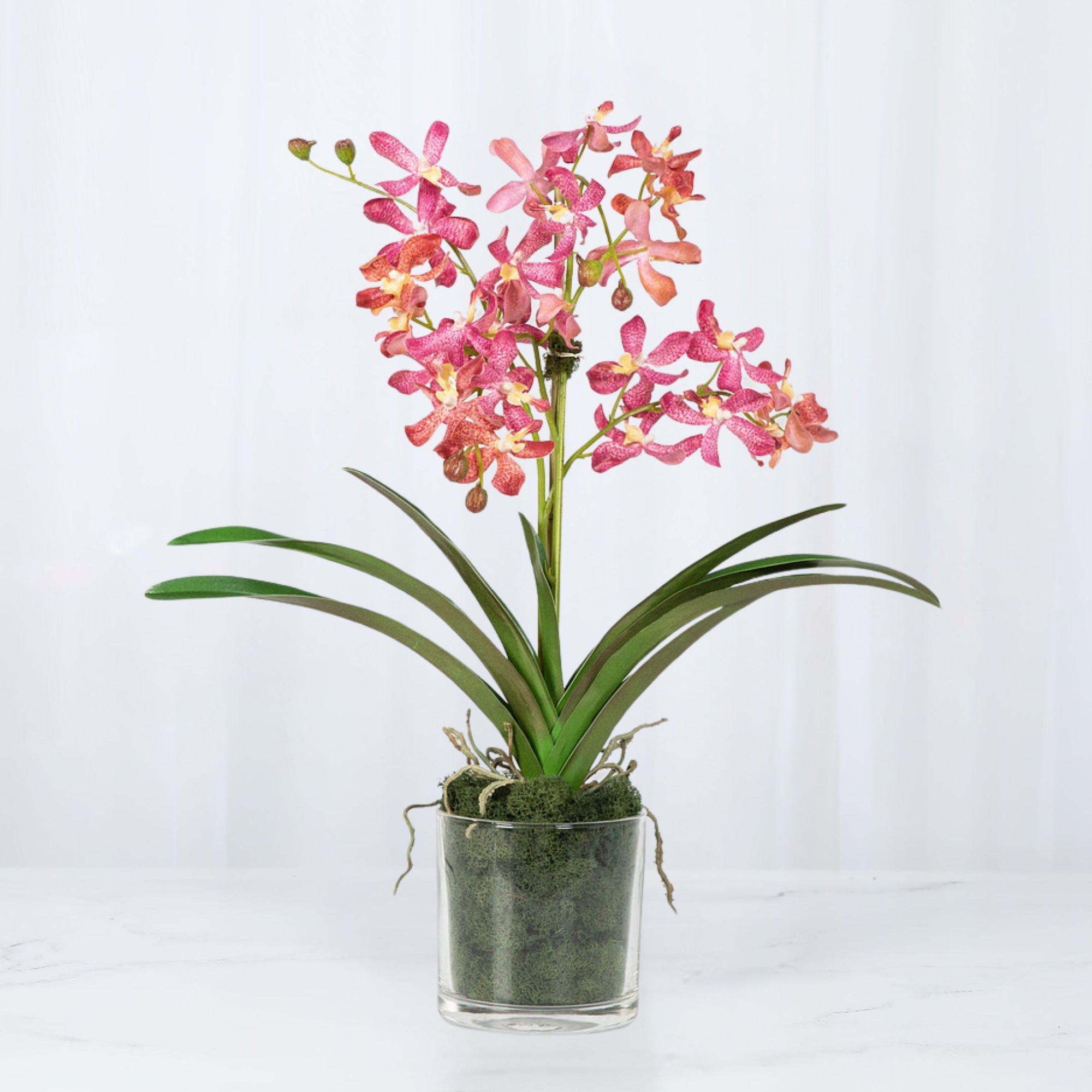 Pink Vanda Orchid Arrangement in Vase - 24"