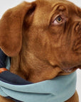 Turquoise and Iron Dog Neck Warmer