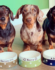 Small Dog Bowls